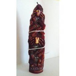 Vela-garrapata-especial.jpg