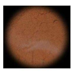 Incienso Sándalo En Grano