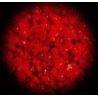 Incienso Rojo En Grano