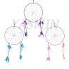 Colorful Dreamcatcher with Feathers 7,87 inch.