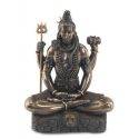 shiva-21-cms-resina.jpg