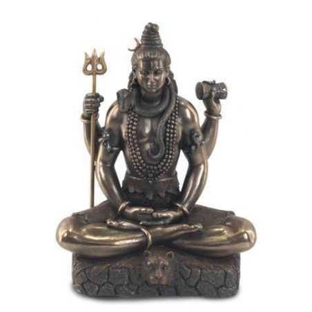 shiva-21-cms-resina.jpg