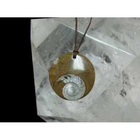 colgante-amonite-disco.jpg