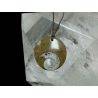 Disk Ammonite Pendant
