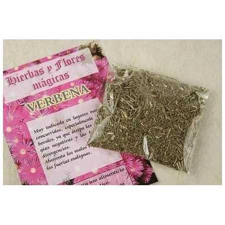 verbena-planta-seca.jpg