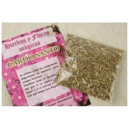 cardo-santo-planta.jpg