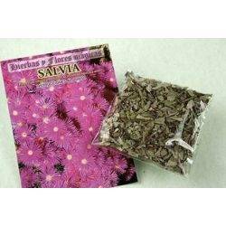salvia-planta-seca.jpg