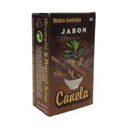 Cinnamon Soap