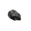 Agate Fossile Pierre Roulée (Agate Turritella)