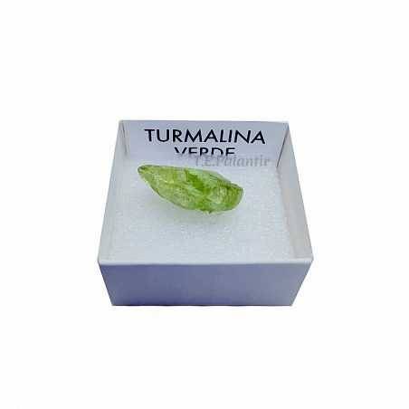 Tourmaline Verte en Boite 4x4 Cms.