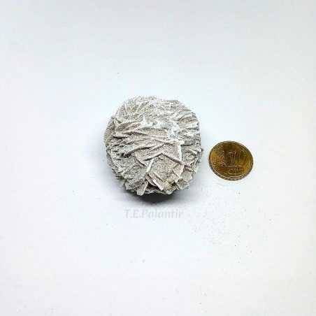 Mini Size White Desert Rose Rock