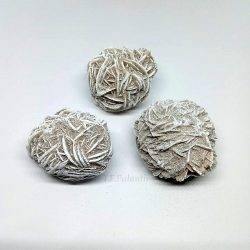 rosa del desierto tamaño mini