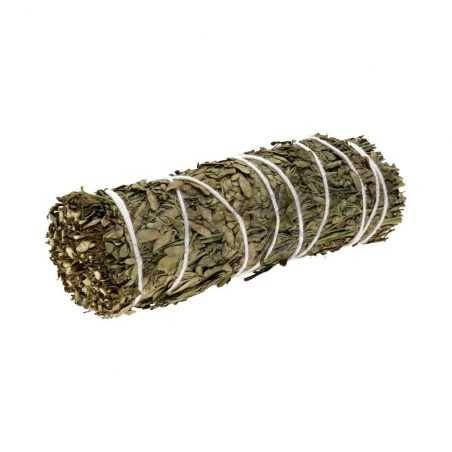 Natural Rue Bundle  to Burn Plana Dieguez - 1