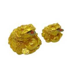 Grenouille d'Argent Crapaud à Trois Pattes