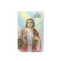 St. Peter The Apostle Print With Medal