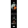 Encens Feng Shui Ying Yang