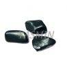 Shungit Polished Stone